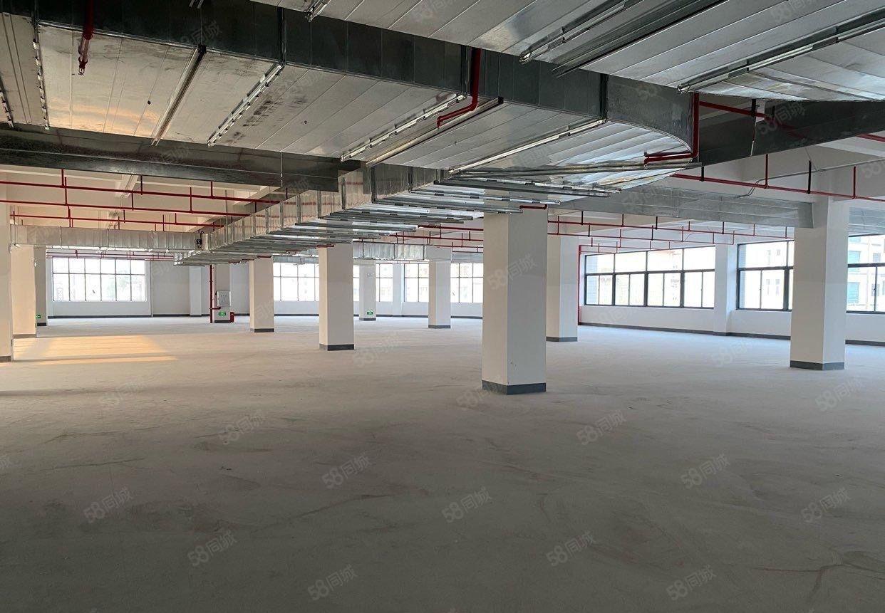 惠州镇隆超靓全新独院厂房出租水电齐全证件齐全，有电梯配套