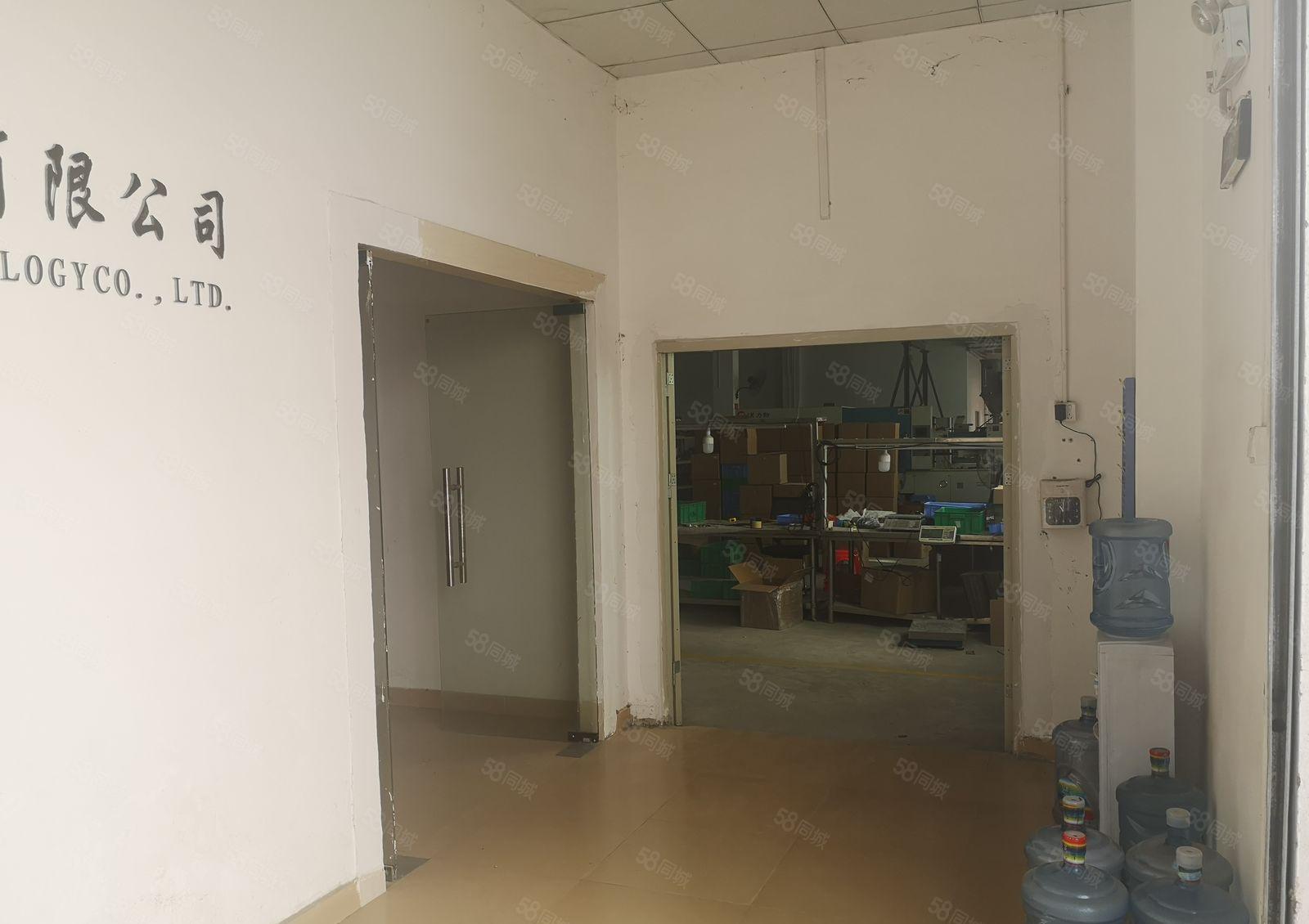 惠阳新圩新出原房东1150平房独院钢构厂房出租可做污染行业