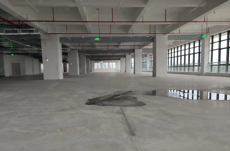 9.9块惠州市全新红包厂房10004万