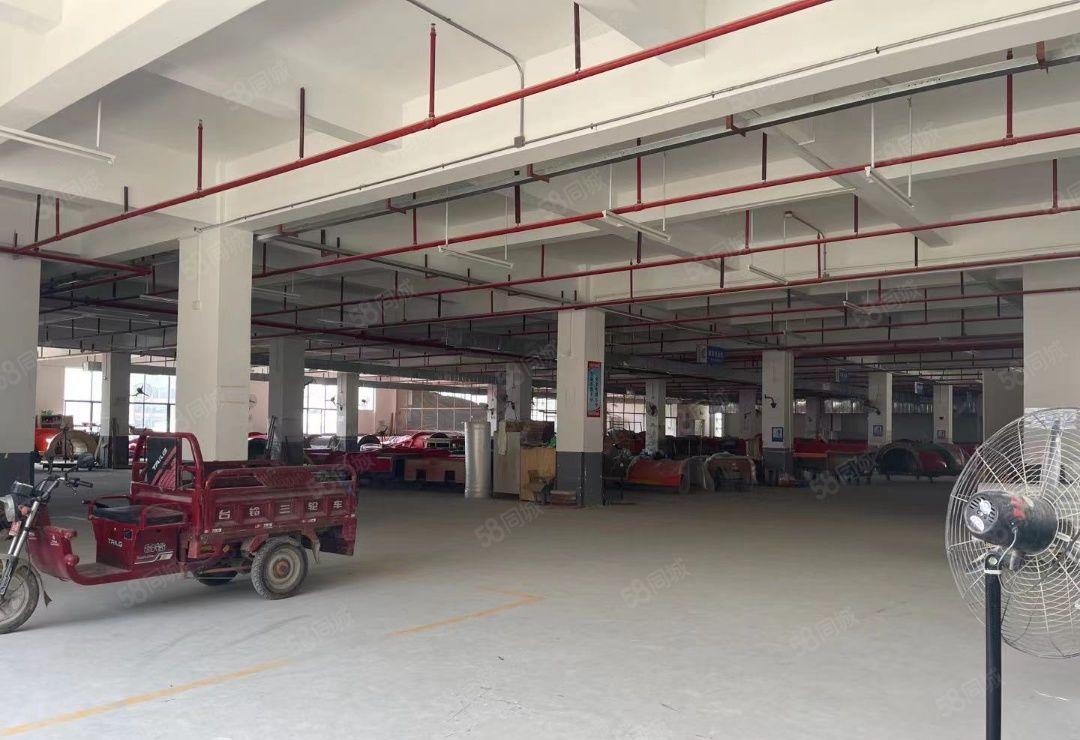 秋长镇主干道旁边花园式厂房27788平方 低价分租证件齐全