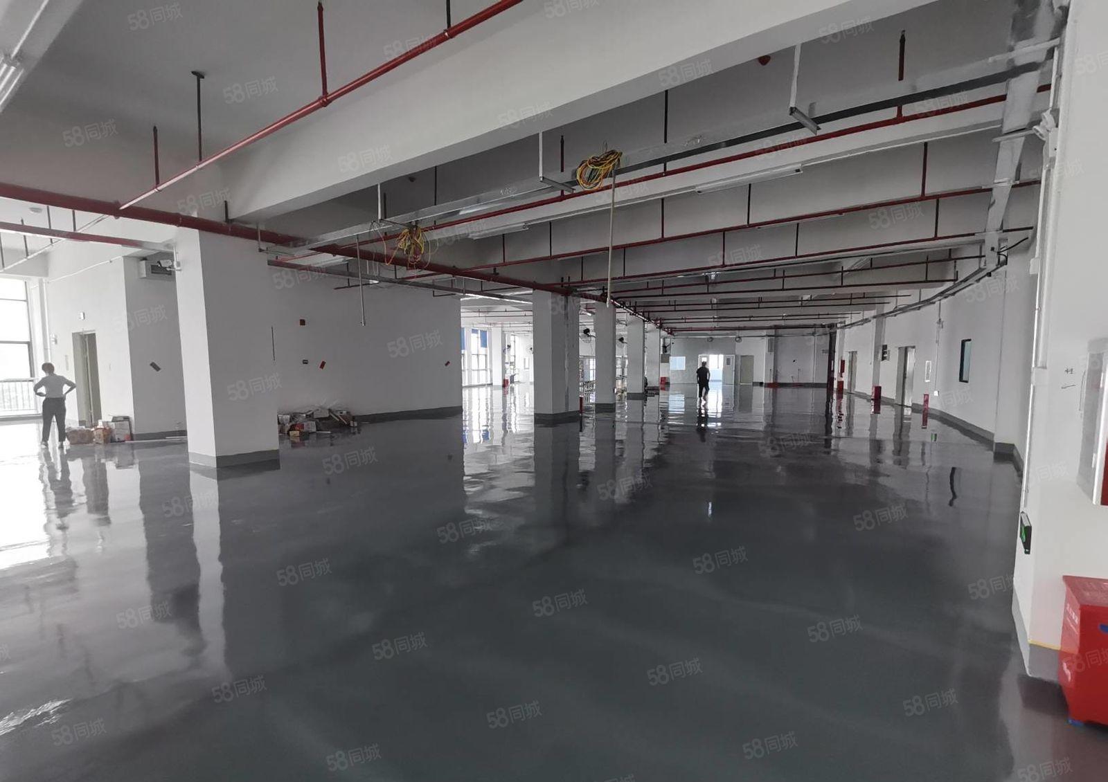 惠阳镇隆万里工业园原房东7万平带装修厂房出租可分租一楼6米高