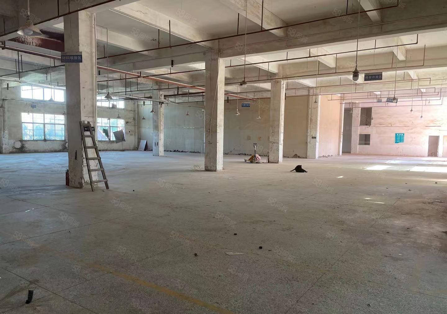 惠阳球场白石新出标准3层小独院7000平米可分租