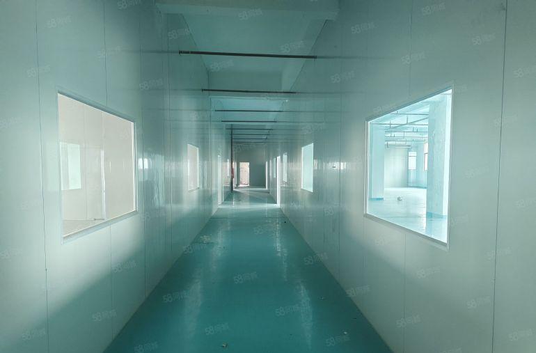 惠阳秋长白石靠新塘原房东3层经典小独院低价出租