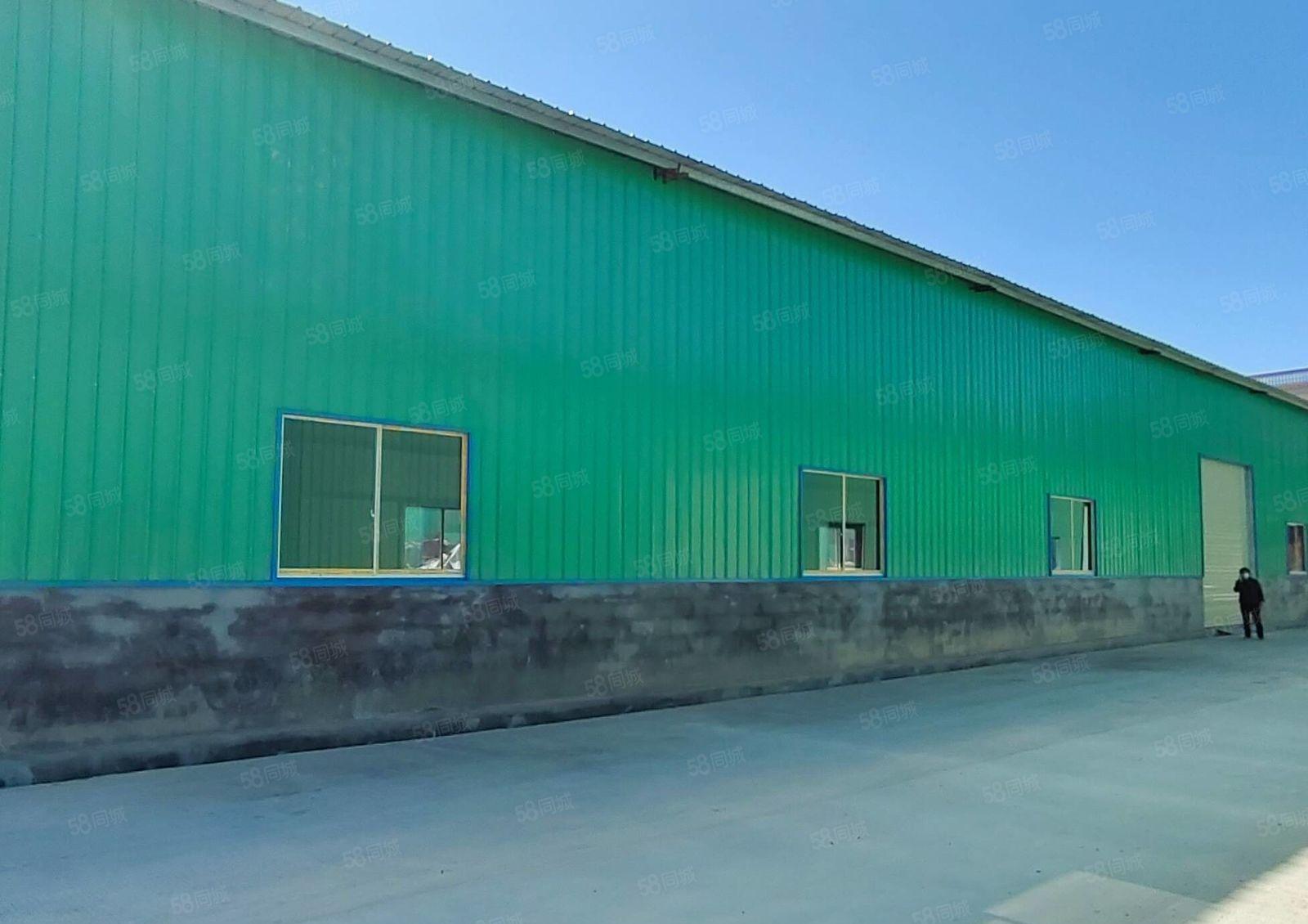 镇隆工业园7米高铁皮房2000平，可分租