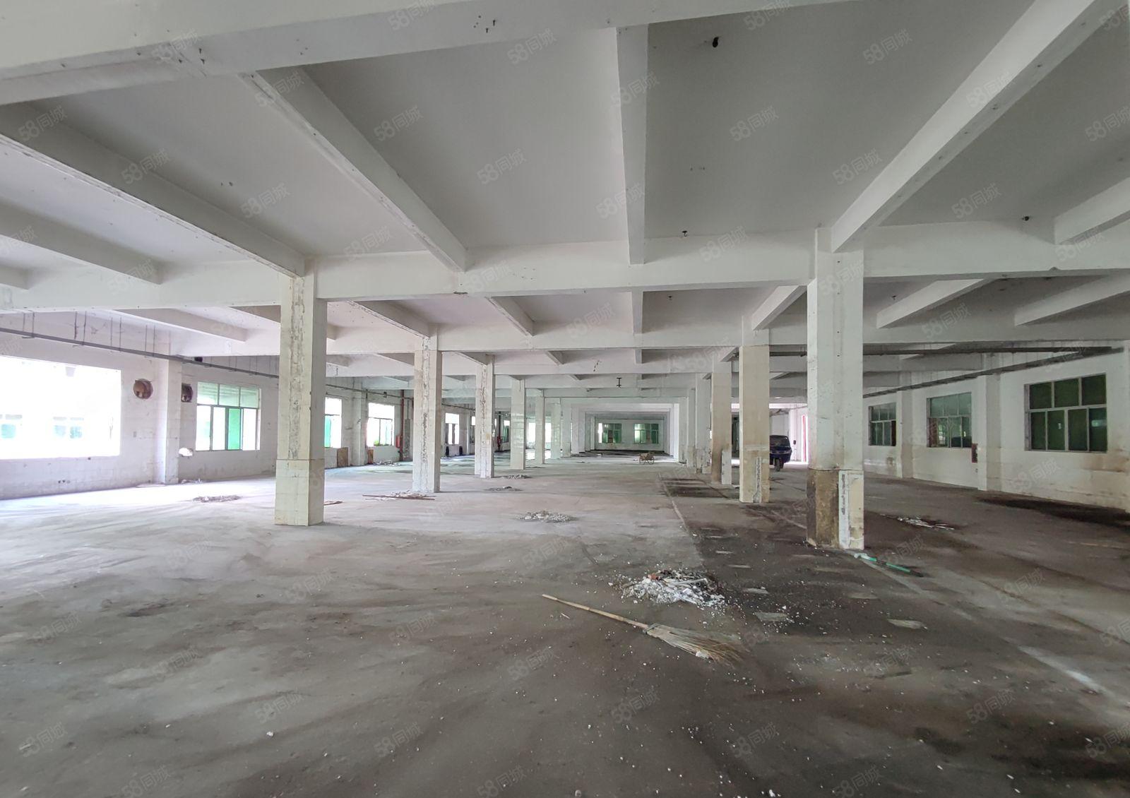 （3层独院，空地7千）三和经济开发区11500平，空地可搭建