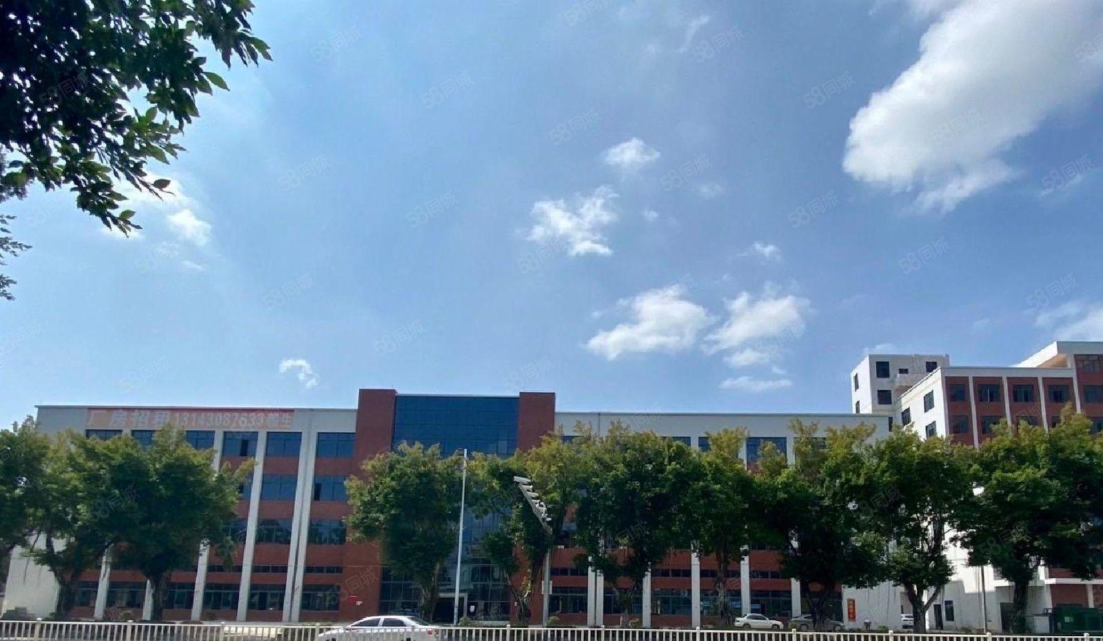 惠州淡水红本厂房9000平出租起租可办环评1000平可分租