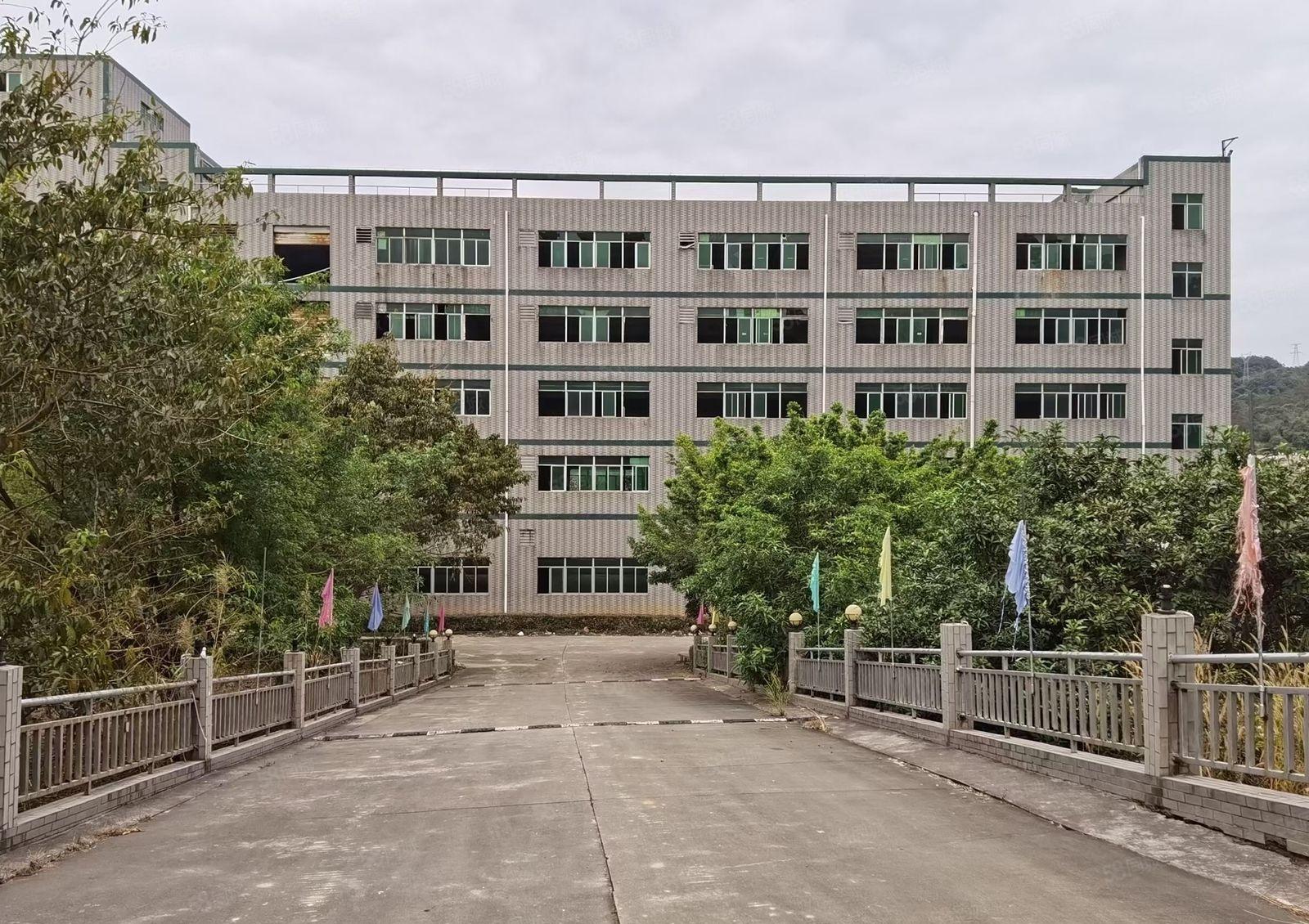 原房东红本独院占地60000厂房独栋五层30000平方证件齐