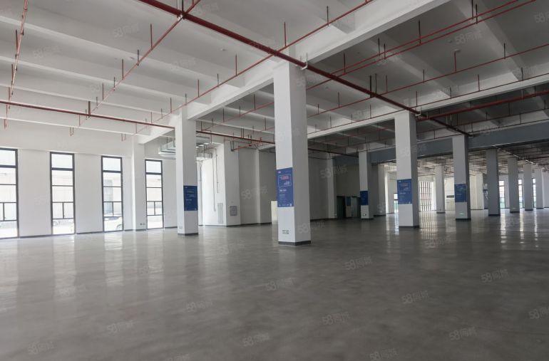 新出独栋原房东！开发区新建高标准厂房仓库15000平出租