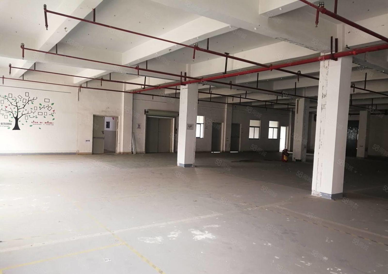 15元起租惠阳新圩10000平高速路口原房东标准独院厂房出租