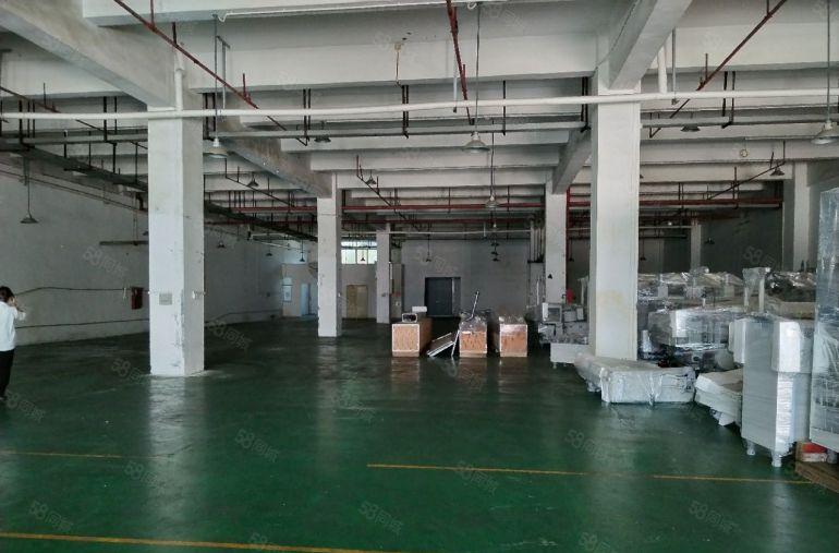 镇隆一楼1000平1800平实量面积 原房东厂房出租 可分租