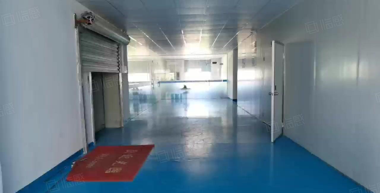 惠州惠阳区秋长1200平米标准厂房成熟工业园精装修原房东出租