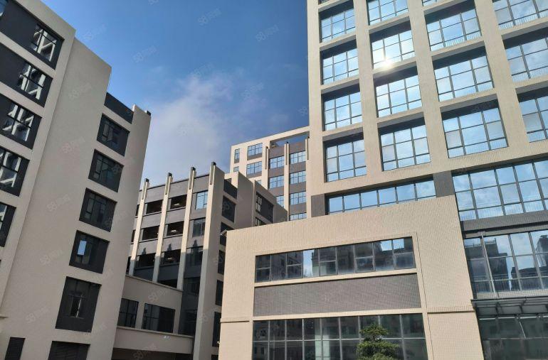 实际面积单层 2618 平！！三和全新原房东标准厂房出租