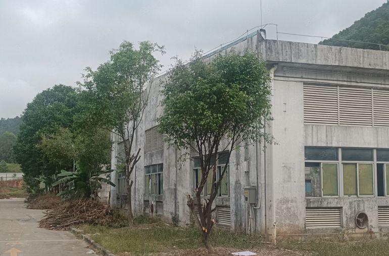 （大小分租）惠阳新圩新出靠山边红本独院钢结构厂房24000平