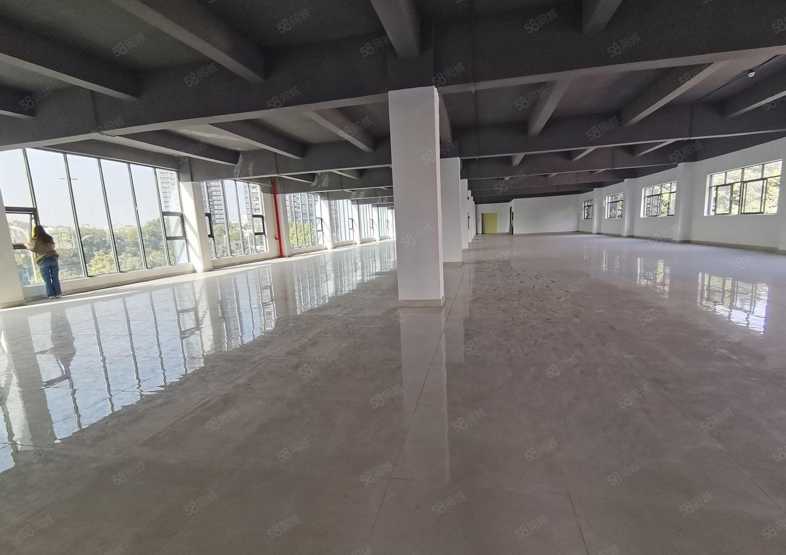 新墟花边岭工业区原房东1600平独栋仓库厂房出租可分租精装修