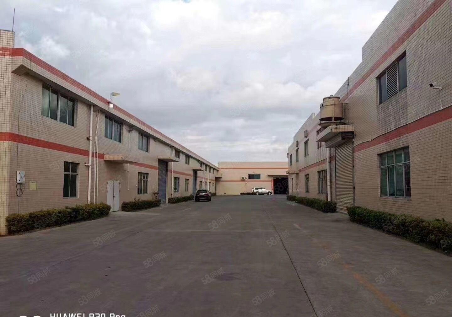 带消防喷淋！惠阳三和新出砖墙单层钢构