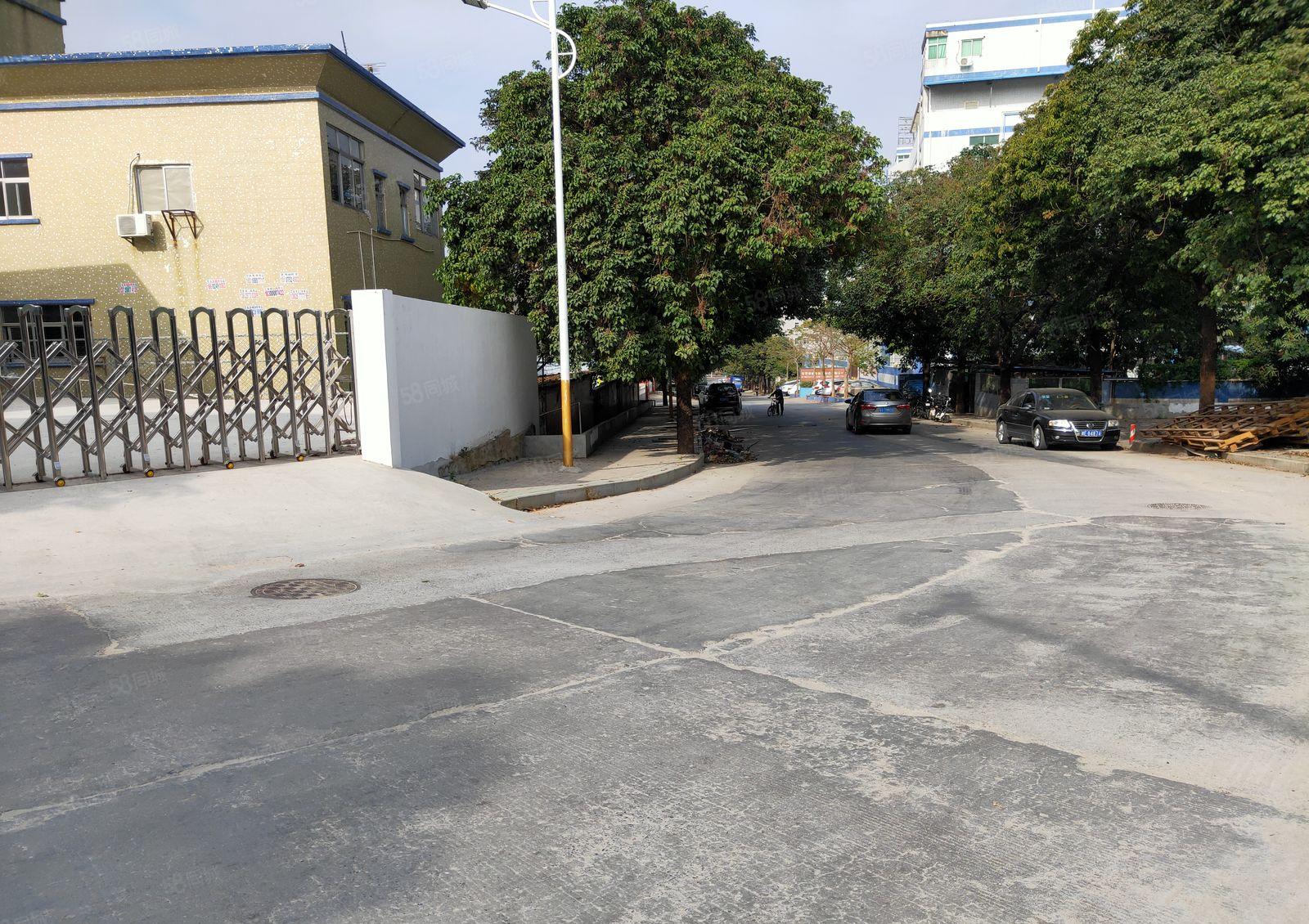 邻深惠阳秋长白石1030方钢构独院厂房仓库出租无公摊可办环评