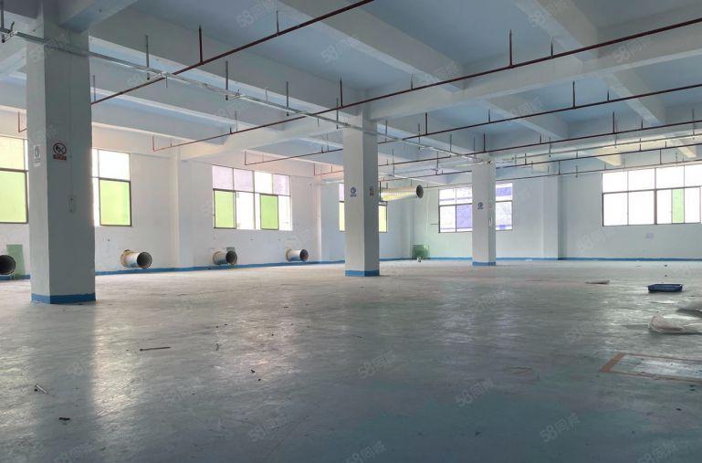 惠阳沙田新出原房东独门独院厂房5000平出租