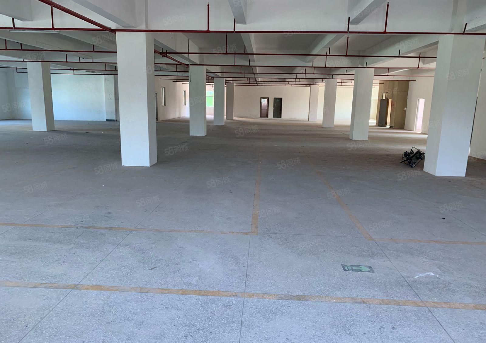 单价12块 惠阳秋长西湖 1250平  可生产加工