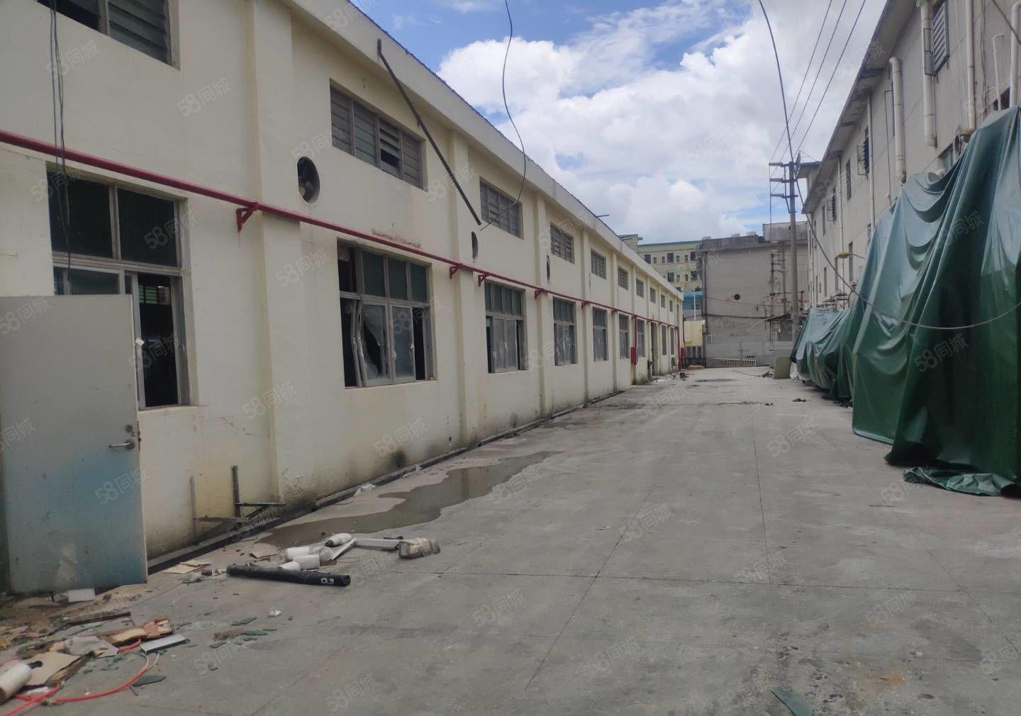 惠阳 沙田2000平独院钢构厂房出租实际面积原房东出租