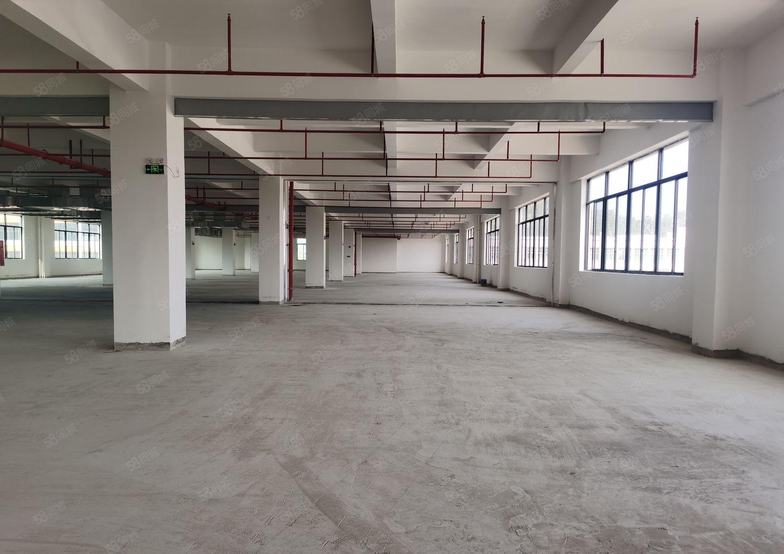 全新建设15元含税价标准红本厂房出租，原房东实际面无公摊！