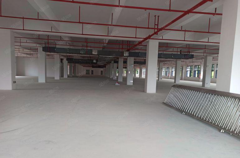 永湖镇，实际面积出租