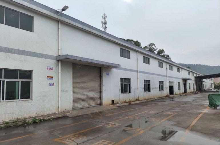 惠州惠阳秋长秋宝路旁单一层钢构厂房低价出租2000平交通便利