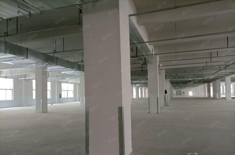 18元惠阳5600平1楼全新工业厂盛大招商带丰厚政策补贴