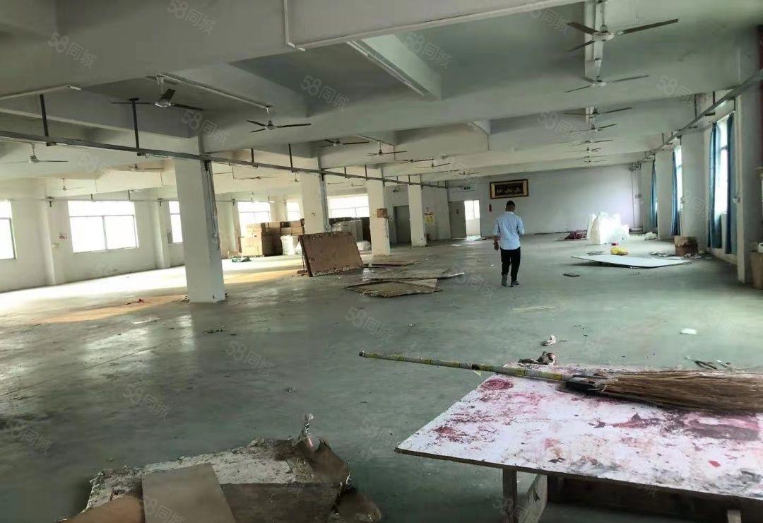 惠州三和现成水电装修周围交通方便独门独院2500平标准厂房