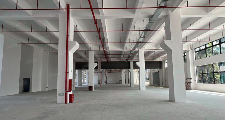 新出！镇隆4000平厂房仓库出租1楼8米带牛角可分1000平