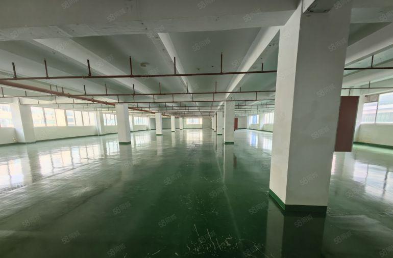 秋长白石高新园区原房东红本厂房1400平可分租现成地平漆低价