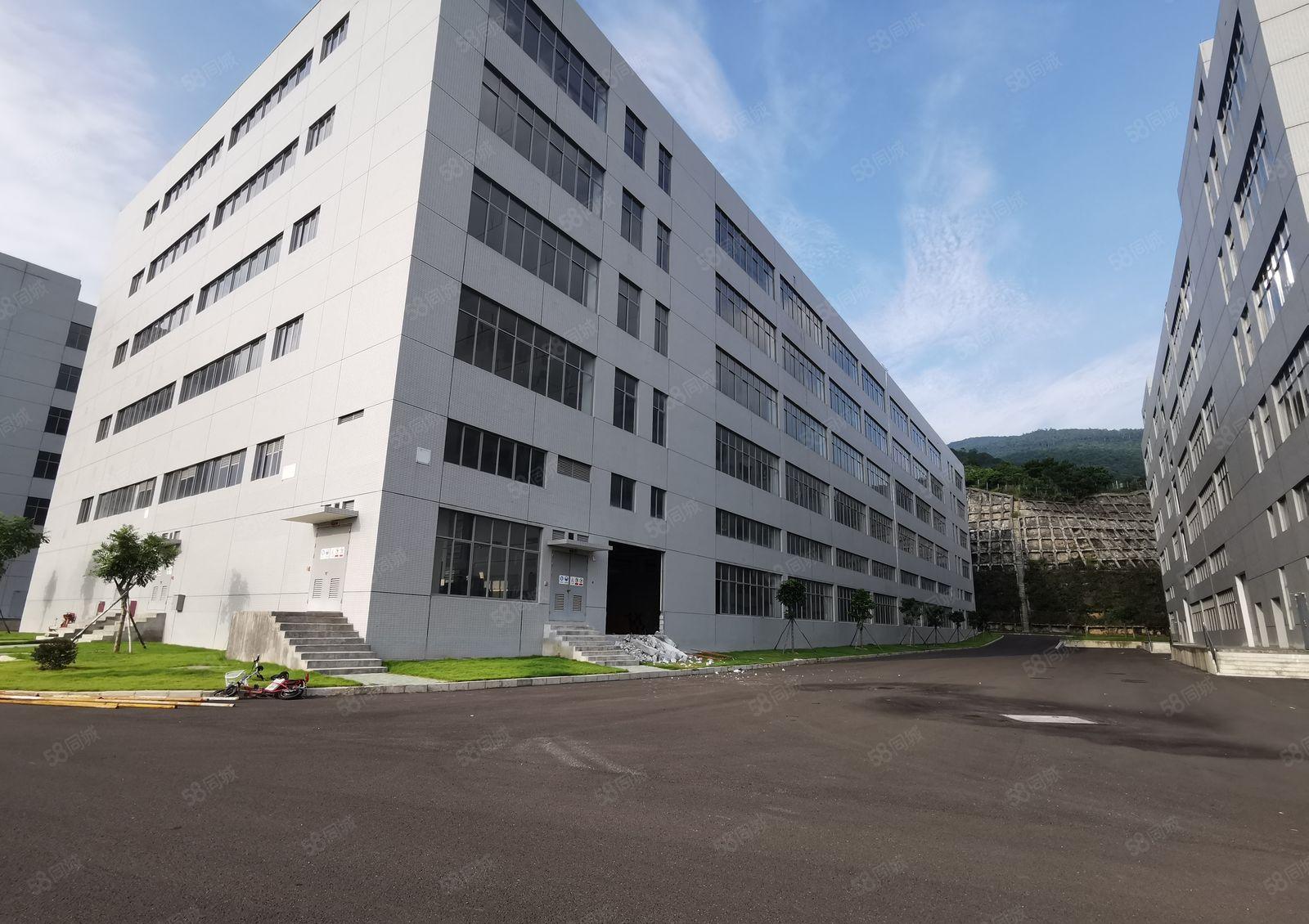 惠阳原房东新建标准厂房9000平出租，大小分租，无公摊