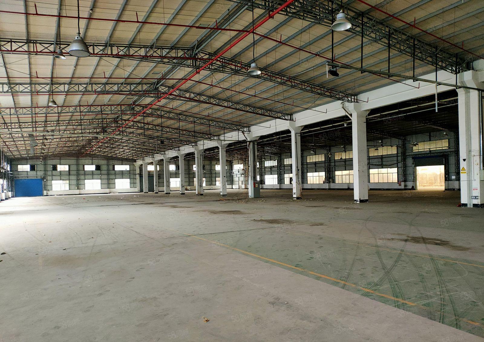 单一层10米高钢结构厂房出租，共10000平方，可分租