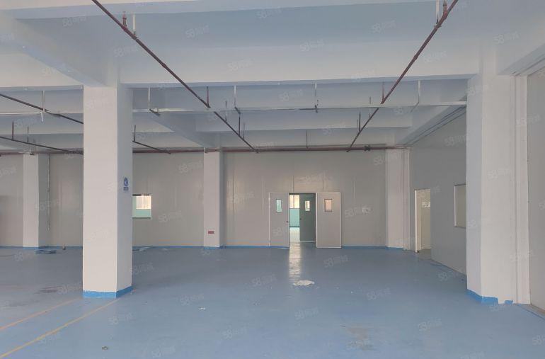 惠阳秋长白石靠新塘原房东3层经典小独院低价出租