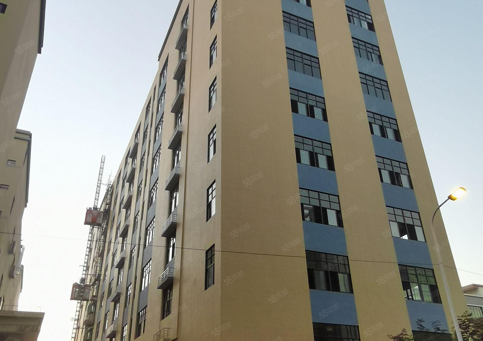 独院全新红本厂房出租，零公摊原房东，2000平方米起分租厂房