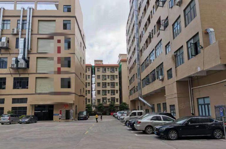 惠阳区秋长原房东楼上带装修1600平可分租