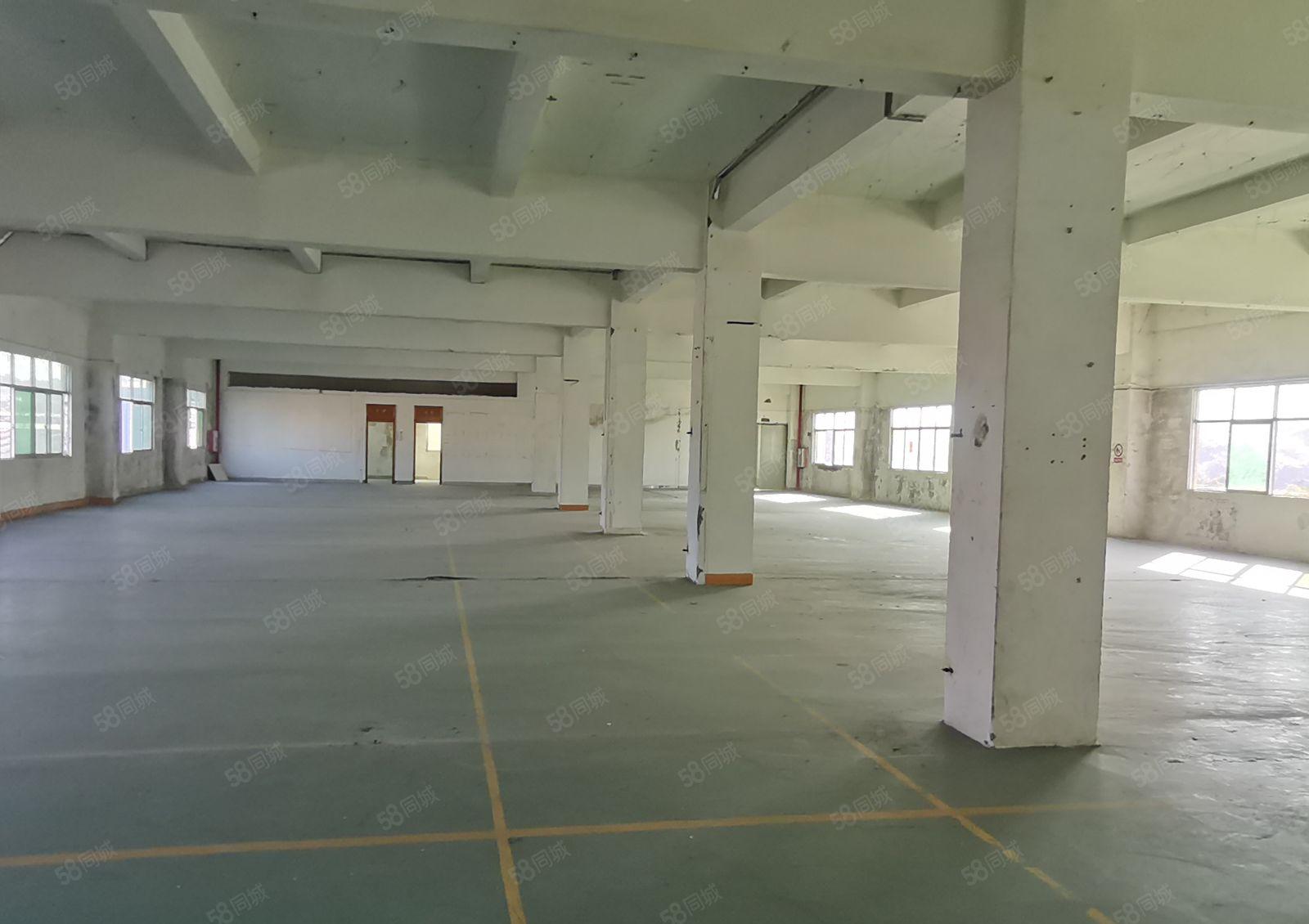 镇隆原房东 经典独院5050平实量面积厂房出租1000平起租