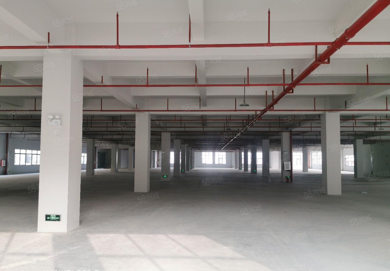 惠东县白花镇10元全新标准厂房3500平方楼上整层出租可分租