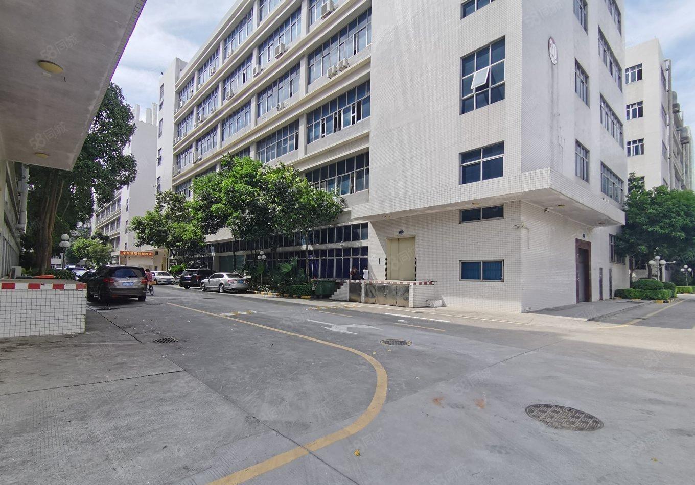 惠阳秋长茶园工业区红本厂房2000平方精装办公室，有消防喷淋