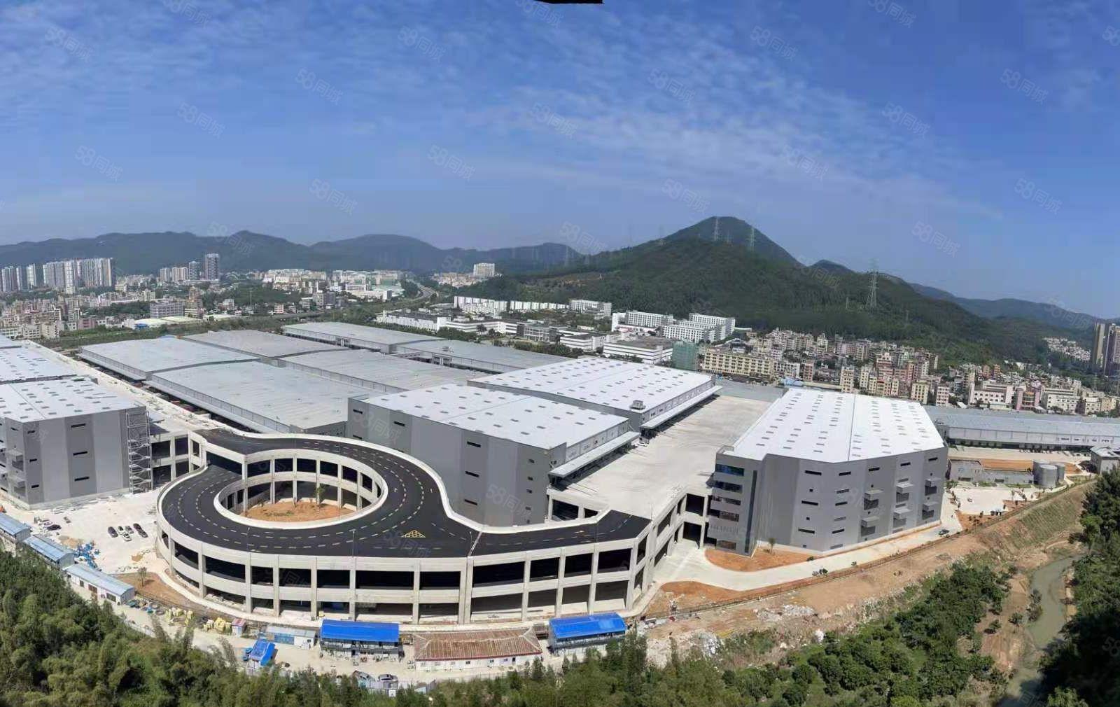 （寻求高税收客户，滴水11米）原房东4.4万平米钢构带卸货台