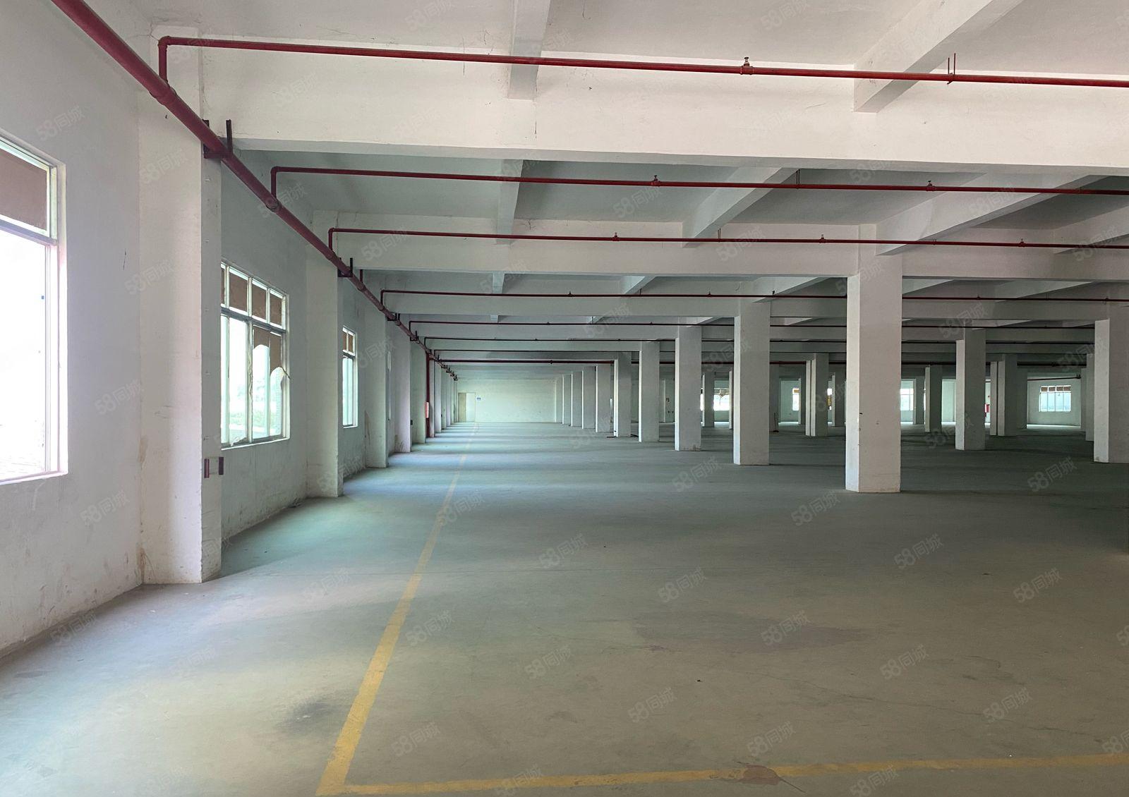 新圩国道旁独栋标准厂房出租4980平一层现成卸货平台可分租