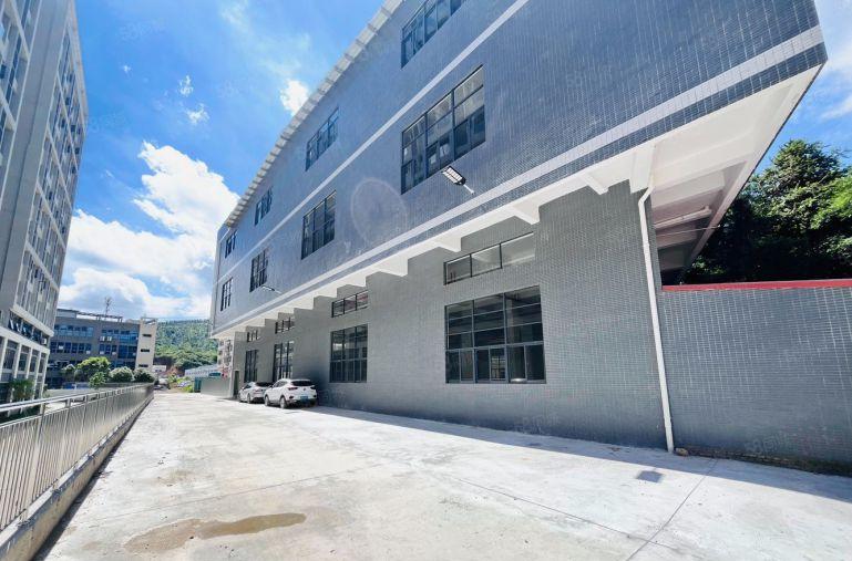 9块在新圩租6米高全新4700平独门独院厂房有牛腿