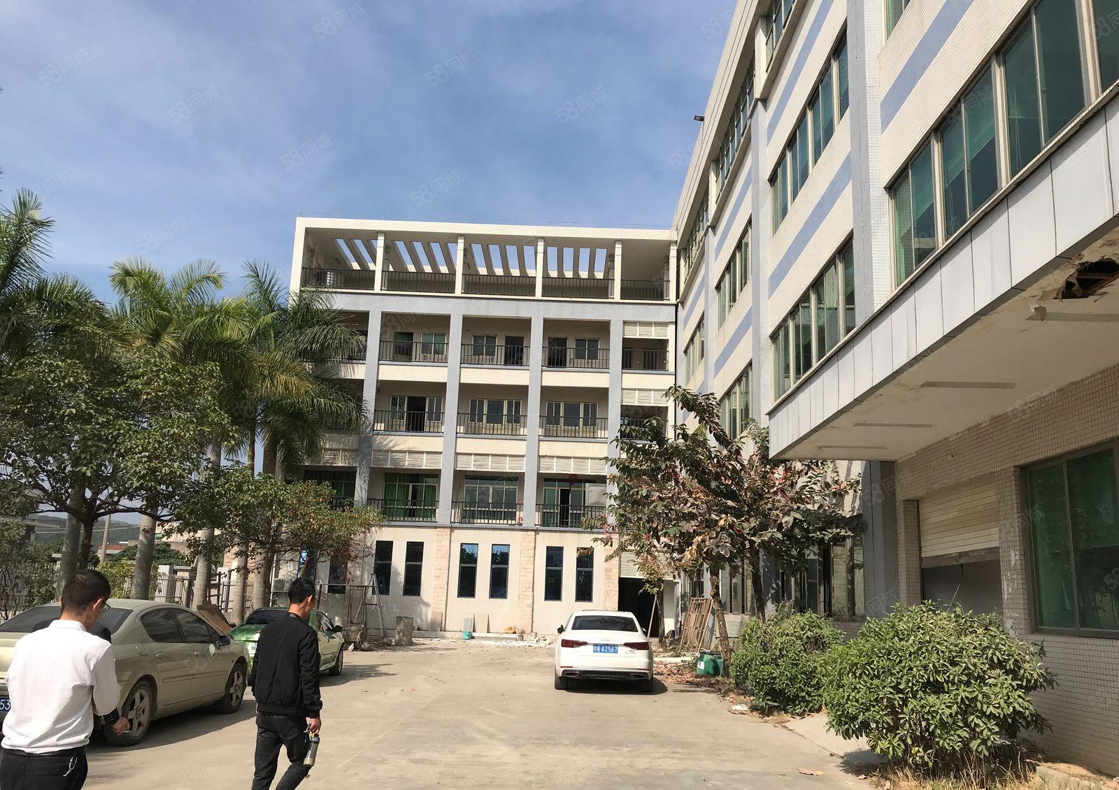 新圩约场花园式独院厂房3800平方出租