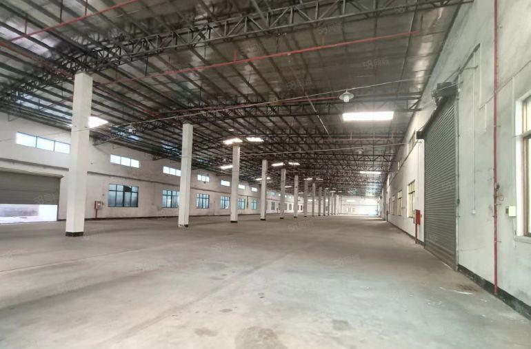 新出13块！！！三和经济开发区滴水8米厂房1000平起分租