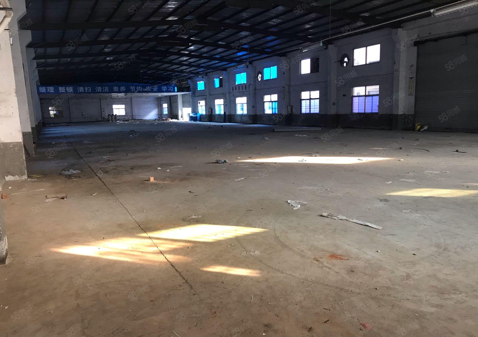 新圩塘吓工业区原房东钢构800平1000平出租