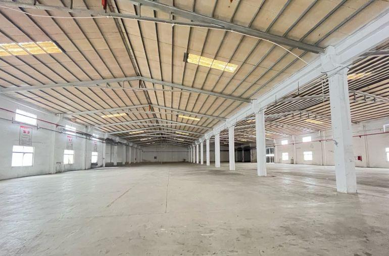 14块！现成豪华办公室！惠阳新圩5100平独院钢构