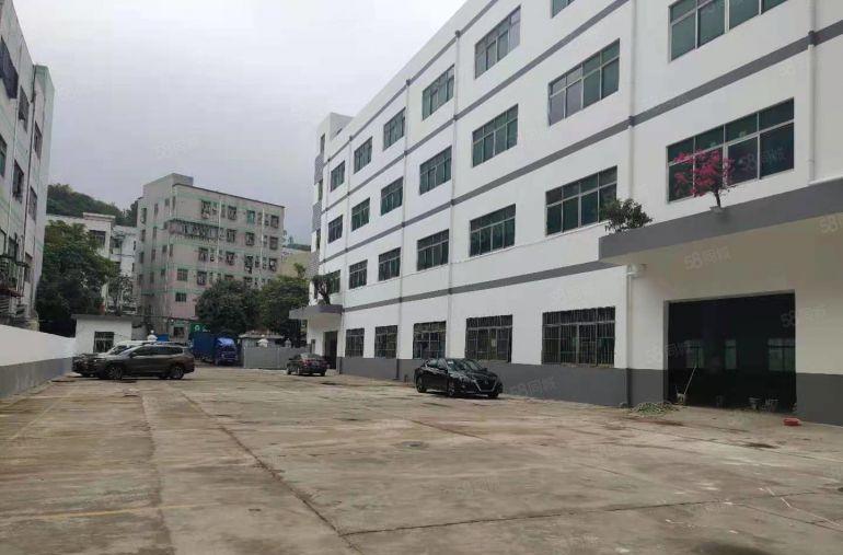 秋长白石村委独院新出二楼1200平带精装修办公室前台厂房出租