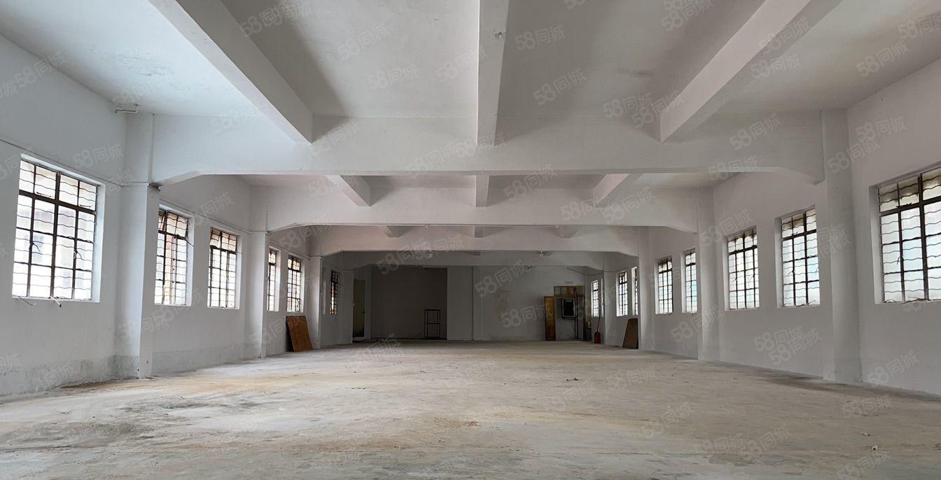 镇隆标准厂房楼上1380平米出租 大小可分