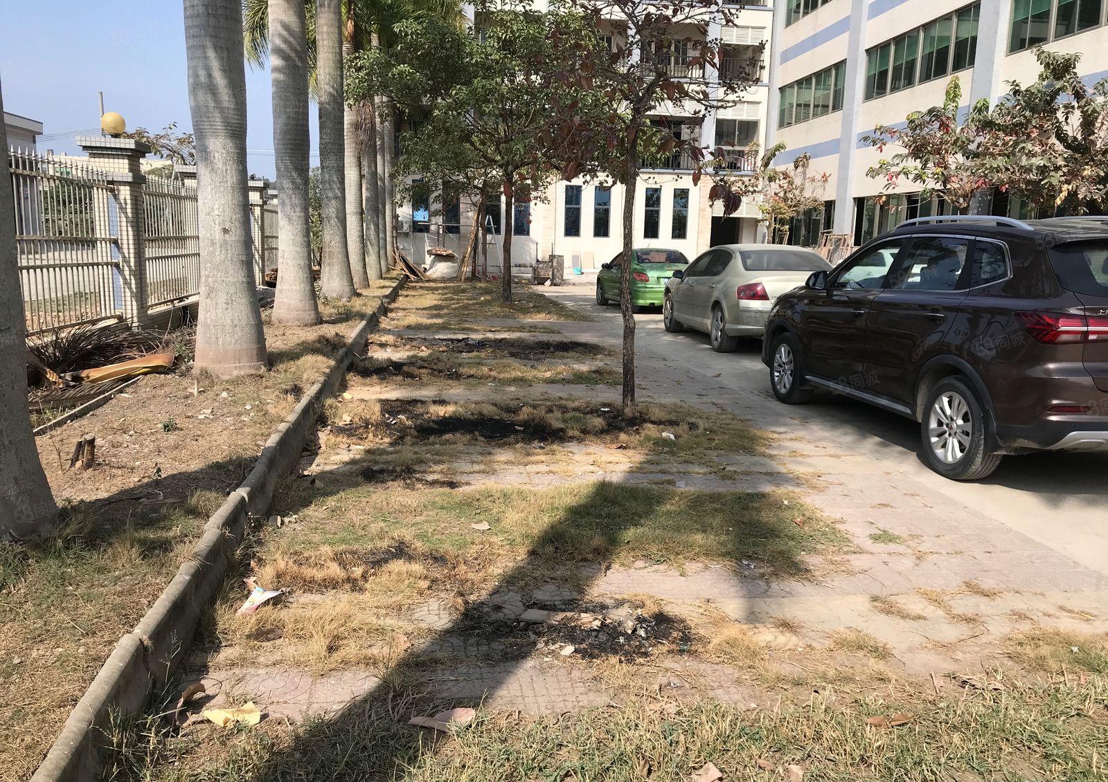 新圩约场花园式独院厂房3800平方出租