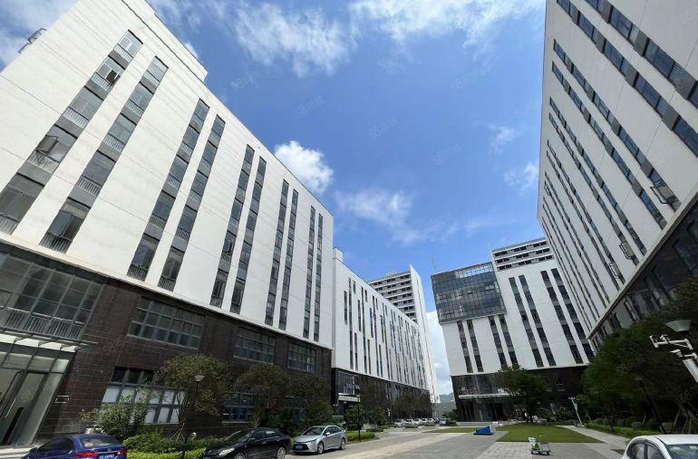 临深全新装修 楼上6米高 1T重 开发商直租 无二手差价