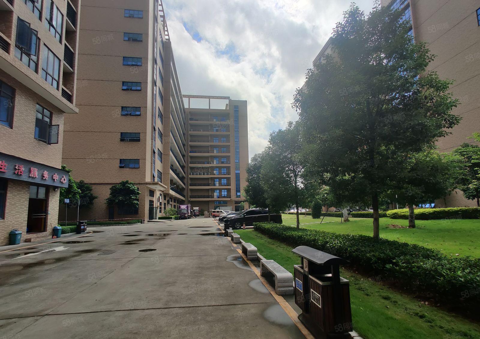 6元200平起租惠阳镇隆新圩原房东2万平无公摊出租一楼仓库